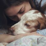 【獣医師監修】犬のうつ病とは？心の病気の原因、症状から対処法まで徹底解説(ブログ)