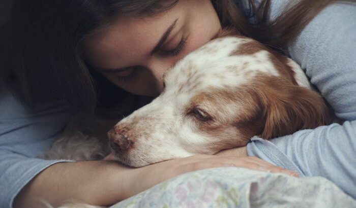【獣医師監修】犬のうつ病とは？心の病気の原因、症状から対処法まで徹底解説(ブログ)