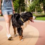 『モラルがない犬の飼い主』の行動5選　周りが大迷惑しているタブー行為や守るべきマナーまで(ブログ)