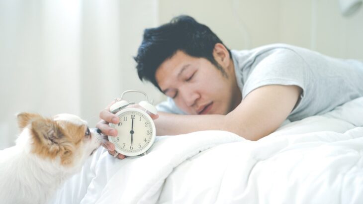 犬が『朝早く起きる』6つの理由　生活リズムや睡眠環境の整え方まで解説(ブログ)