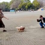 公園でおじいちゃんと待ち合わせ→７ヶ月ぶりの再会で犬が…発見した瞬間の『尊い光景』に「嬉しいが溢れてる」「なんか泣けた」と感動の声(ブログ)