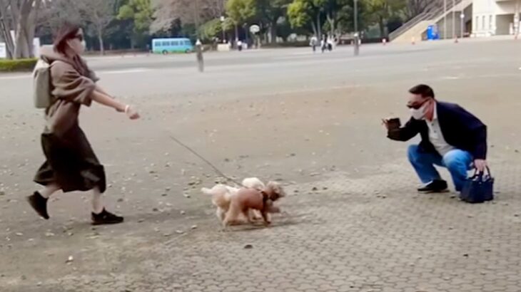 公園でおじいちゃんと待ち合わせ→７ヶ月ぶりの再会で犬が…発見した瞬間の『尊い光景』に「嬉しいが溢れてる」「なんか泣けた」と感動の声(ブログ)