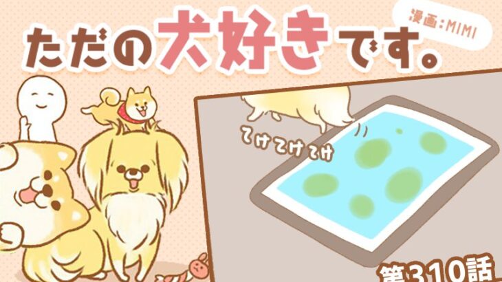 ただの犬好きです。【第310話】「義務」(ブログ)