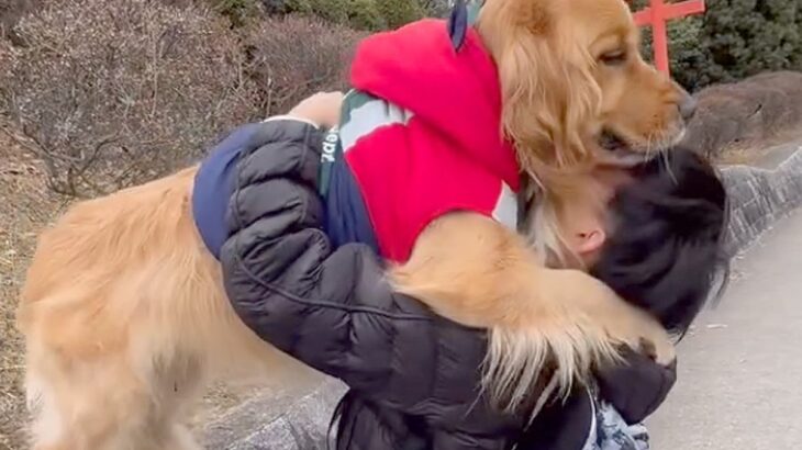 『高いところに登りたい』と駄々をこねる大型犬→乗せてみた結果…まるで『大きな赤ちゃんのような光景』に悶絶「最高に可愛い」「顔がたまらん」(ブログ)