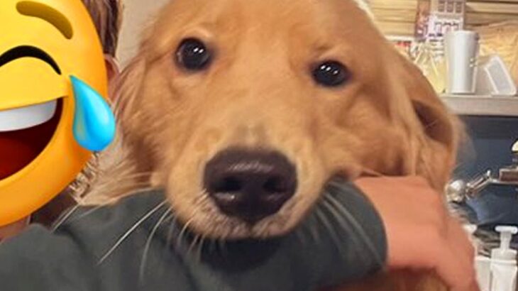 お母さんが大型犬とツーショットを撮影→なぜか口の中に…小さなころから変わらない光景が150万表示「腕がｗ」「銀魂かな？」と爆笑の声(ブログ)