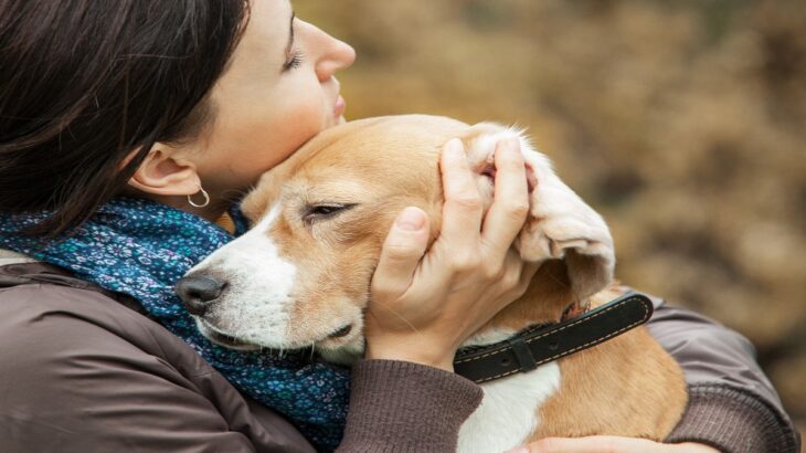 犬の性格が突然変わってしまう要因5つ　愛犬に起きた変化とは？正しい対処法まで解説(ブログ)
