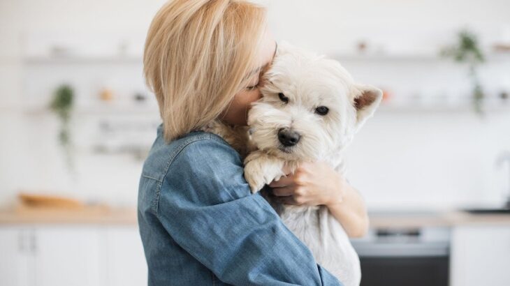 犬が抱っこを嫌がっているときの仕草4つ　拒んでいる理由から愛犬を守るための改善策まで(ブログ)