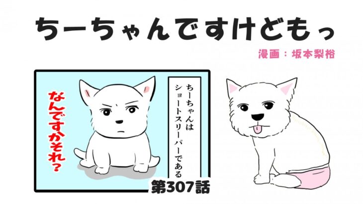 ちーちゃんですけどもっ【第307話】「犬界のショートスリーパー」(ブログ)