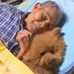 『約４ヵ月前に亡くなった祖父母』犬との何気ない日常を振り返ったら…あまりにも愛にあふれた光景が48万再生　心温まる尊い記録に思わず感動(ブログ)