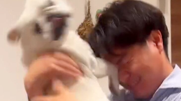 パパが帰宅→犬が『塩対応でお出迎えした』と思ったら…ツッコミどころ満載の『衝撃的な光景』が12万再生「飛び蹴り草」「メリハリあるｗ」(ブログ)