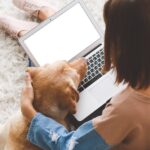犬を飼うのに『必要な年収・貯金額』とは？いくらあれば安心できるの？飼育前にすべき準備まで(ブログ)