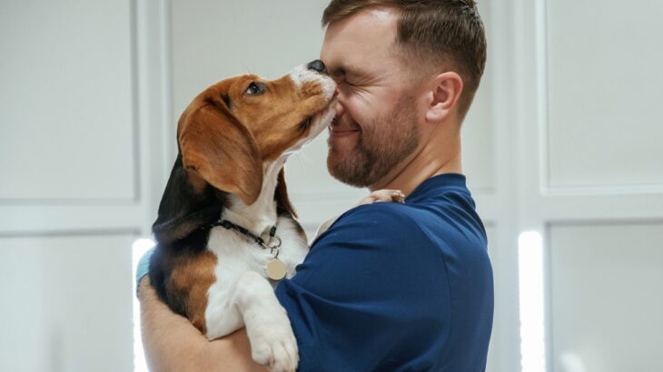犬が飼い主の顔をしつこく舐める『5つの理由』やめさせる方法はあるの？対処法まで(ブログ)