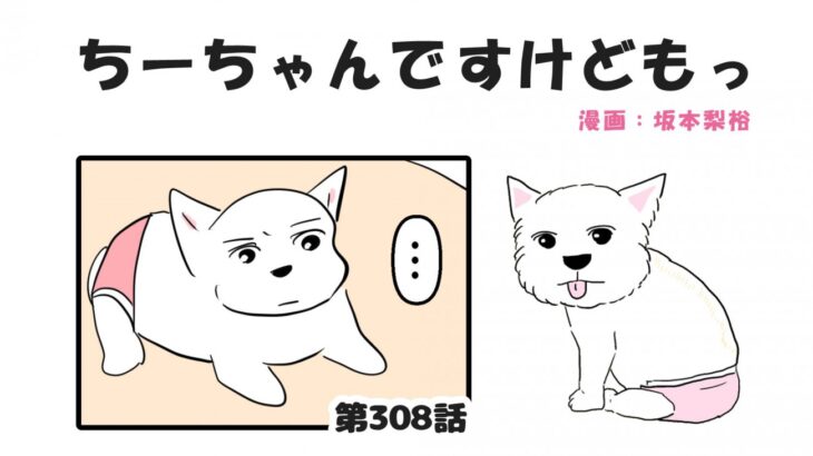 ちーちゃんですけどもっ【第308話】「嬉しいけども」(ブログ)