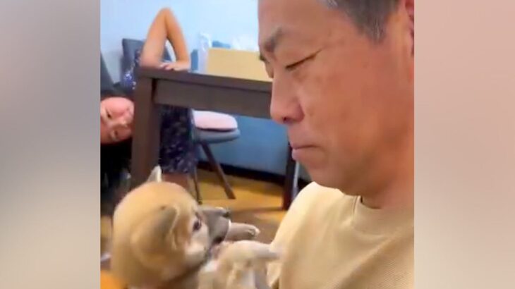 『３番目の孫』として子犬をお迎えしたおじいちゃん→１年後…愛情たっぷりな『心温まる光景』が76万再生「どちらもデレデレｗ」と絶賛の声(ブログ)