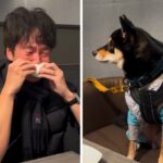 『犬の絵本』を読んで大号泣する夫→隣に座っていた犬が…悶絶必至の『尊すぎる光景』が360万再生「どうしたの？って顔が愛おしい」「素敵」(ブログ)