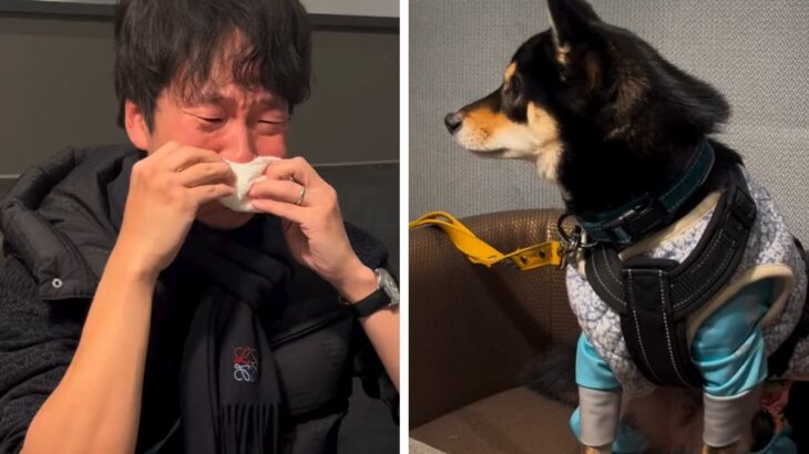 『犬の絵本』を読んで大号泣する夫→隣に座っていた犬が…悶絶必至の『尊すぎる光景』が360万再生「どうしたの？って顔が愛おしい」「素敵」(ブログ)