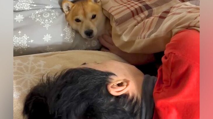 『ガンを患っている夫』闘病生活の最中、2匹の犬が…涙腺崩壊する『いつでもそばで見守る光景』に「尊い、泣けてきた」「一心同体」と反響(ブログ)