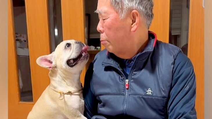 犬を連れて実家に帰省→おじいちゃんを愛しすぎていて…想像以上の『好き好き攻撃』が16万再生「熱烈アピール可愛いｗ」「羨ましい」と絶賛(ブログ)