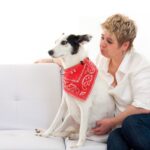 犬が『いじけている』ときにみせる３つの行動　不満を表している原因や対処法とは(ブログ)