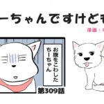 ちーちゃんですけどもっ【第309話】「ちーちゃんお腹くだしたお話①」(ブログ)