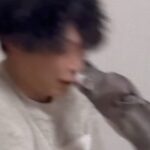 鼻にティッシュを入れたパパ→犬と遊んでいたら『本気モード』になってしまい…次の瞬間に起こった災難に「狩猟対象w」「ウチも同じ」の声(ブログ)