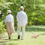 犬を散歩させるときの『絶対NGなコース』５選　安全なルート選びのコツまで(ブログ)