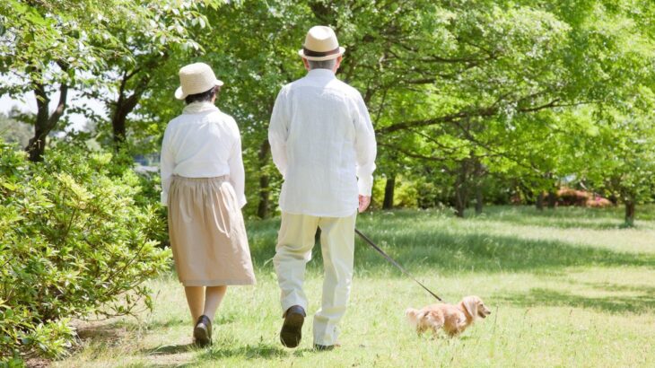 犬を散歩させるときの『絶対NGなコース』５選　安全なルート選びのコツまで(ブログ)