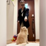 『散歩帰りの犬の足を拭きたい飼い主』VS『興奮中の犬』らちが明かない攻防戦が96万再生「だるまさんが転んだ状態で草」「煽ってるｗ」と爆笑(ブログ)