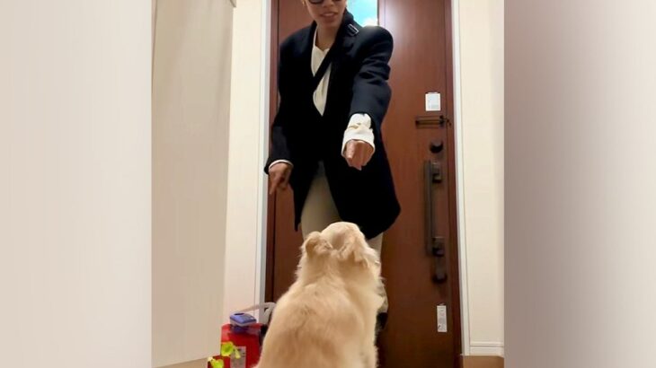 『散歩帰りの犬の足を拭きたい飼い主』VS『興奮中の犬』らちが明かない攻防戦が96万再生「だるまさんが転んだ状態で草」「煽ってるｗ」と爆笑(ブログ)