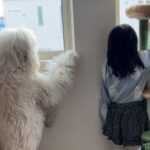 学校から帰るとすぐに遊びに行く男の子→お見送りをする女の子と大型犬が…あまりにも尊い『後ろ姿』が2万再生「背丈同じ」「素敵な関係」(ブログ)