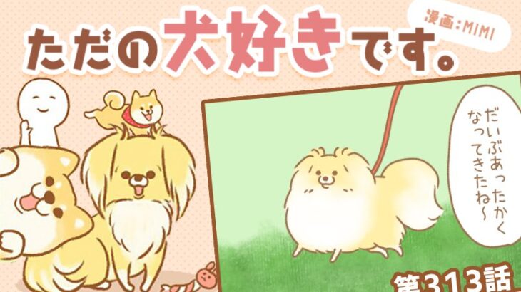 ただの犬好きです。【第313話】「なにやつ」(ブログ)