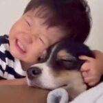 小さな男の子が『生まれた瞬間から犬と一緒に育った』結果…体調不良の時に見せた『あまりにも愛おしい行動』が228万再生「相思相愛」と絶賛(ブログ)