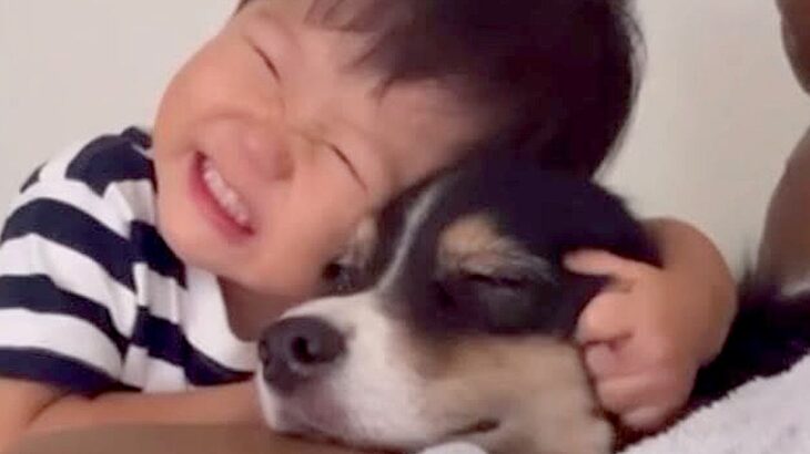 小さな男の子が『生まれた瞬間から犬と一緒に育った』結果…体調不良の時に見せた『あまりにも愛おしい行動』が228万再生「相思相愛」と絶賛(ブログ)