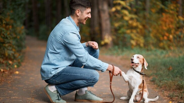 犬が『賢く育つ』にはどうしたらいい？生活に取り入れたいコツや接し方をご紹介(ブログ)