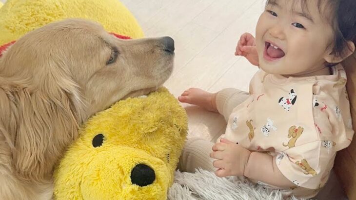やんちゃな0歳の赤ちゃん→生まれてからずっと一緒にいた大型犬が…あまりにも尊い『母親のような行動』が24万再生「素敵」「母性本能」(ブログ)