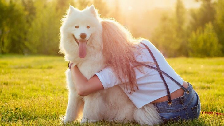 犬が飼い主に『背中を向ける』心理5選　愛犬がおしりをくっつけてきたときの適切な対応とは？(ブログ)
