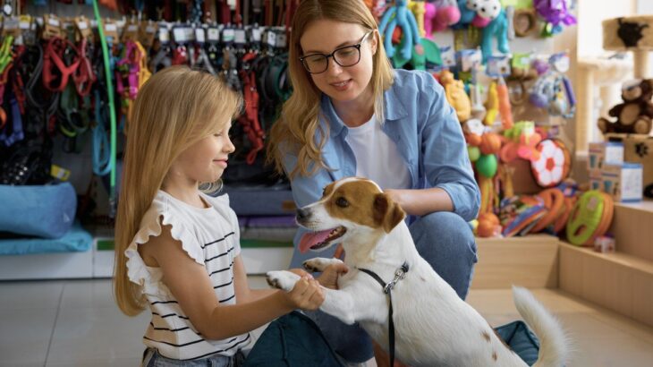 お金をかけるべき『犬用品』4選　愛犬の安全や健康状態を保つために必要なモノとは？(ブログ)