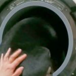 『ドカーン！』大きな雷が鳴り、怖がってしまった犬が…思わず笑っちゃう『まさかの避難場所』に96万再生の反響「気持ち分かる」「可愛いｗ」(ブログ)