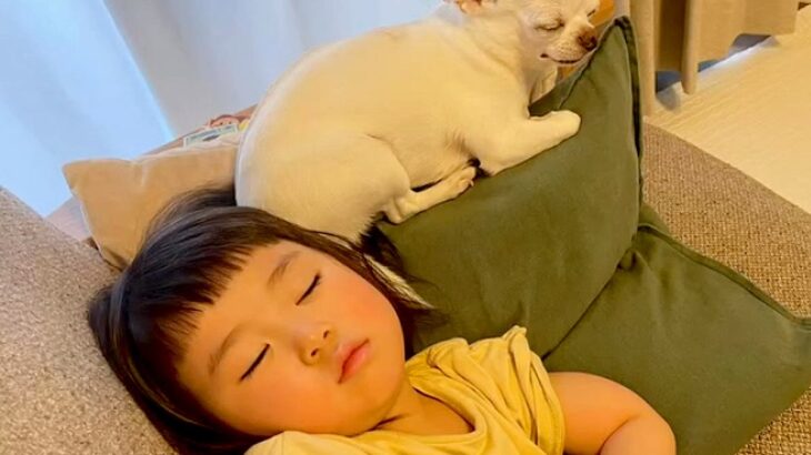 赤ちゃんがおねんねしていると、犬が近づいて…あまりにも尊い『本当の姉妹のような光景』に「癒される」「お互い大好きなのが伝わる」と悶絶の声(ブログ)