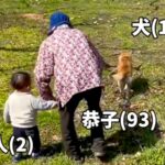 93歳のおばあちゃんが『犬とひ孫を同時に散歩した』結果…まさかの『すべてを失う光景』が193万再生「全員マイペースで草」「ほっこりｗ」(ブログ)