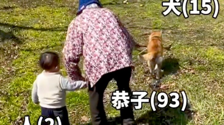 93歳のおばあちゃんが『犬とひ孫を同時に散歩した』結果…まさかの『すべてを失う光景』が193万再生「全員マイペースで草」「ほっこりｗ」(ブログ)