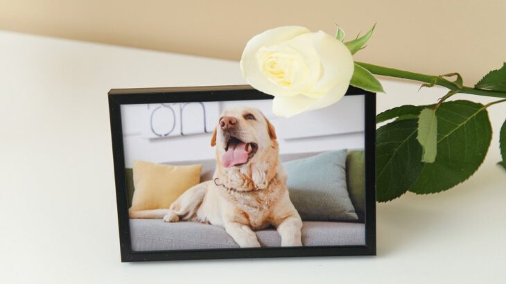 愛犬を亡くした人に絶対言ってはいけない言葉5つ　ペットロスが悪化するNGワードとは？(ブログ)