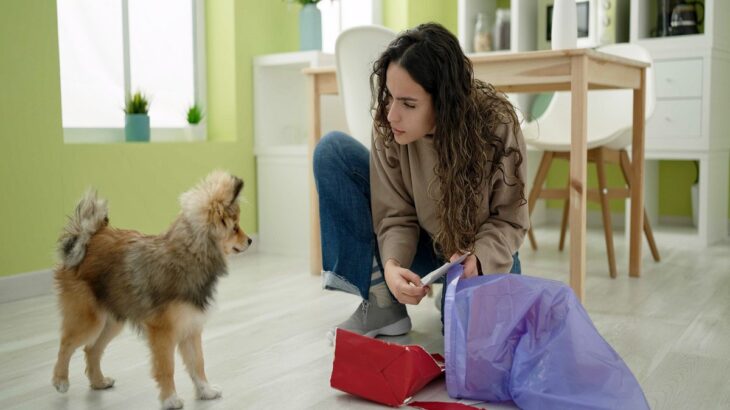 犬を初めて飼う人がぶつかる『3つの壁』　飼い主が事前に心得ておくべきポイントとは(ブログ)