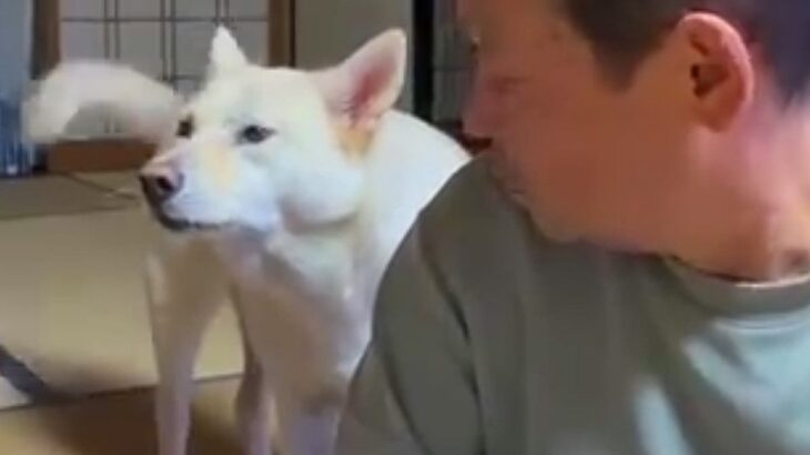 おじいちゃんに『早く寝よう』としゃべりかける犬→想定外な『低音ボイス』が70万再生「ドスがきいてるｗ」「ギャップあって素敵」と絶賛(ブログ)
