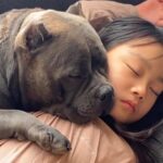 『３人の子ども』と一緒に暮らしている犬→『成長記録』をまとめたら…思わず涙が出る『心温まる光景の数々』が７万再生「愛が溢れてる」と称賛(ブログ)