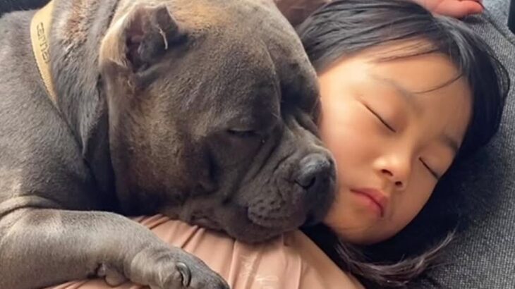 『３人の子ども』と一緒に暮らしている犬→『成長記録』をまとめたら…思わず涙が出る『心温まる光景の数々』が７万再生「愛が溢れてる」と称賛(ブログ)