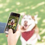 犬を撮ると目が光って写るのはなぜ？3つの理由から写真撮影のテクニックまでご紹介(ブログ)