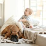 犬が『嫉妬』しているときにみせるサイン4選　愛犬がヤキモチを焼いてしまう相手とは？(ブログ)