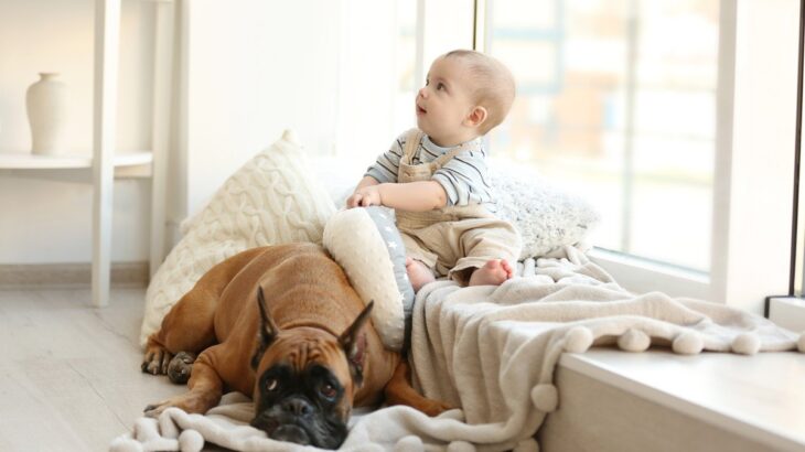 犬が『嫉妬』しているときにみせるサイン4選　愛犬がヤキモチを焼いてしまう相手とは？(ブログ)