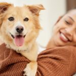 犬の寛容さに甘えてしまっているかも？『ボディランゲージ』を学んで、愛犬と信頼関係を築こう(ブログ)